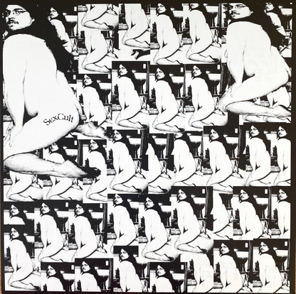 Dry Hump – Dry Hump (Translucent Orange Vinyl)
