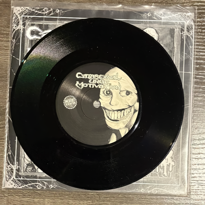 Kadaverficker / Catasexual Urge Motivation – Split EP (Vinyl)